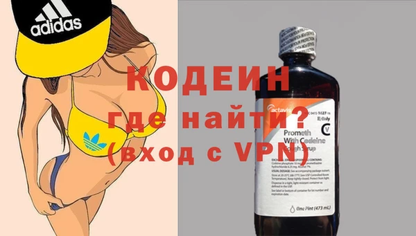 сатива Арсеньев