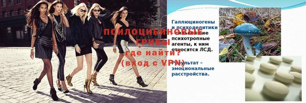 сатива Арсеньев