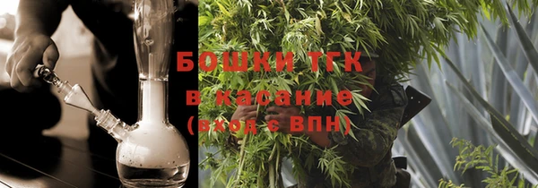 сатива Арсеньев