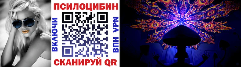 Купить где  Сосновка  Галлюциногенные грибы Cubensis 
